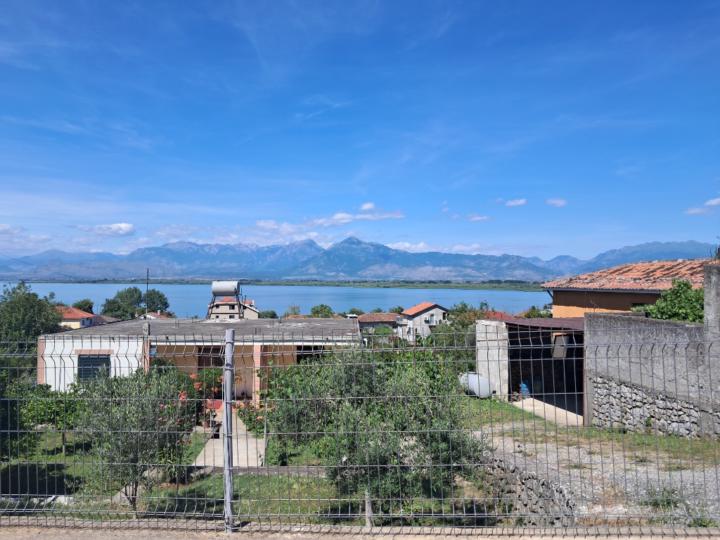 Urani Tota