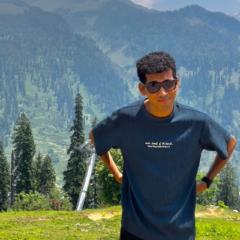 Shashi P