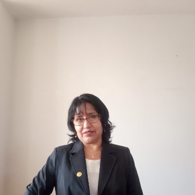 Virginia Chambi Laura