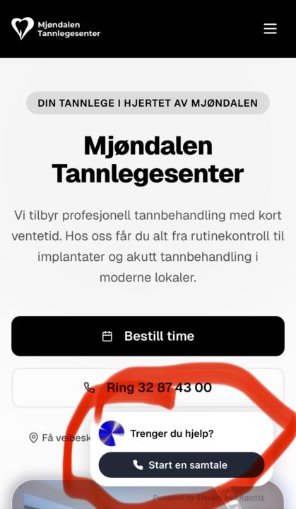 I tested the voice agent