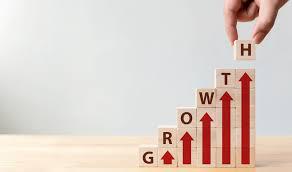  BUSINESS GROWTH