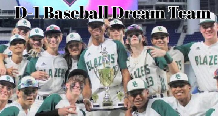 D-1 Baseball Dream Team