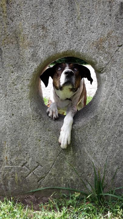 Claudia Schlepphorst