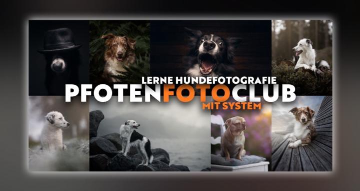 PfotenFotoClub