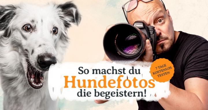 PfotenFotoClub Hundefotografie
