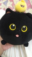 Hypurin Co