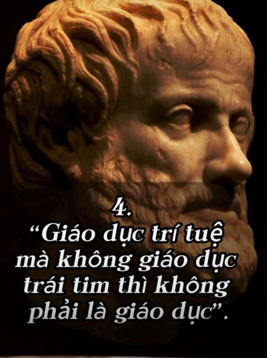 Trang Đỗ Thị Thu