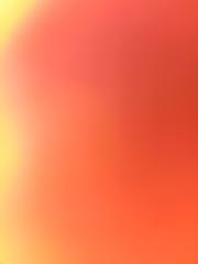 Cristina Rosales Alvariña