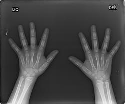 Silvia Wendolyne Tirado Gonzalez