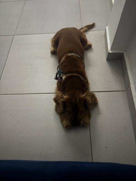 Luis fernando Arbelaez ramirez