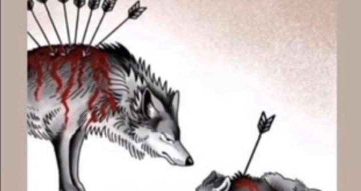 High Vibration Fitness Academy