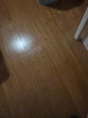 Test Test