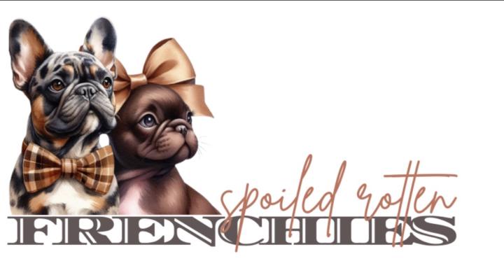 Spoiled Rorren Frenchies
