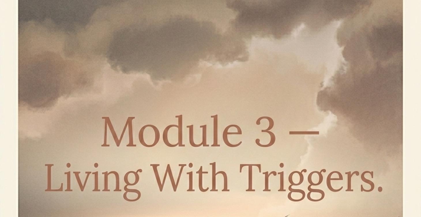 MODULE 3 Living With Triggers
