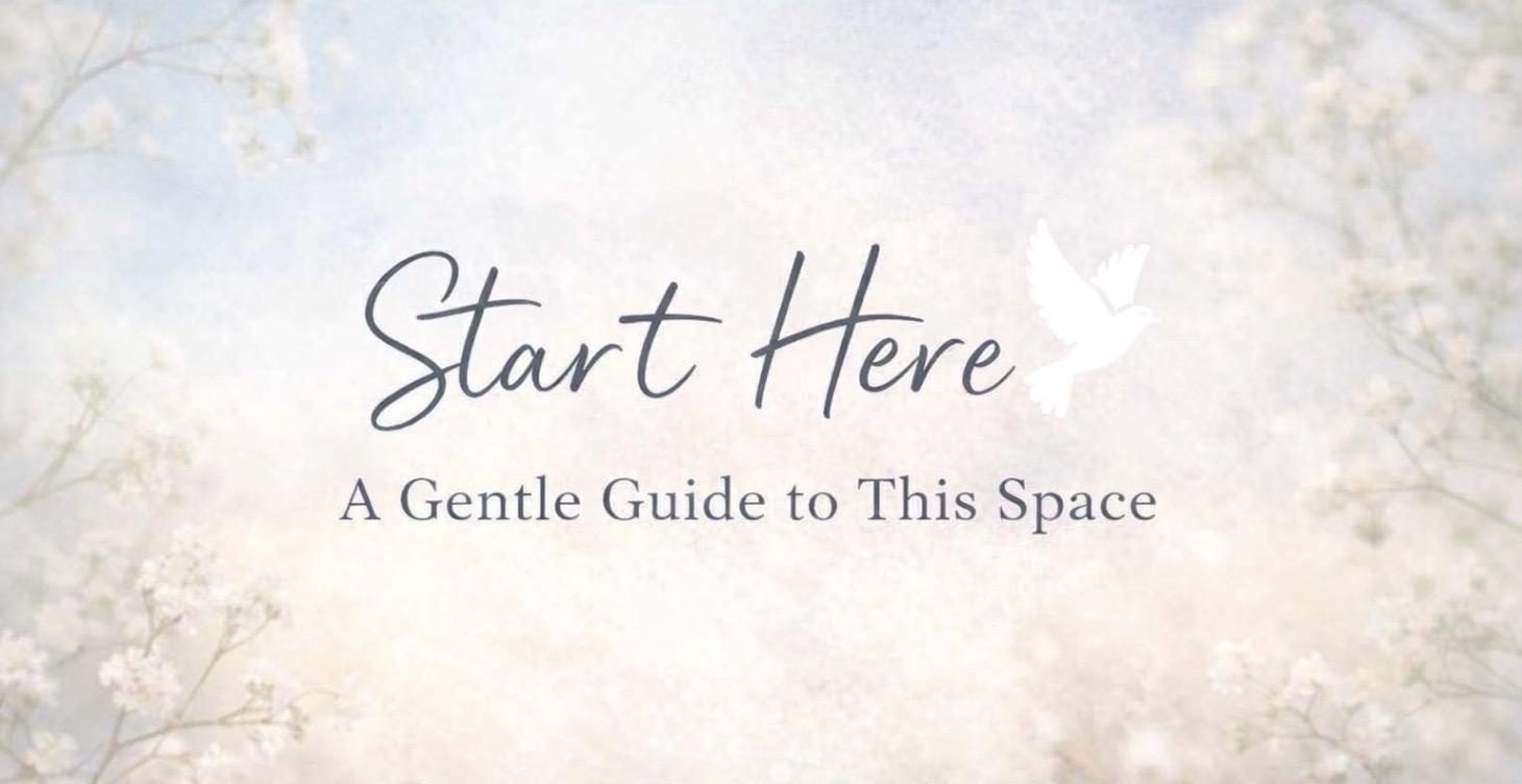 Start Here: A Gentle Guide to This Space