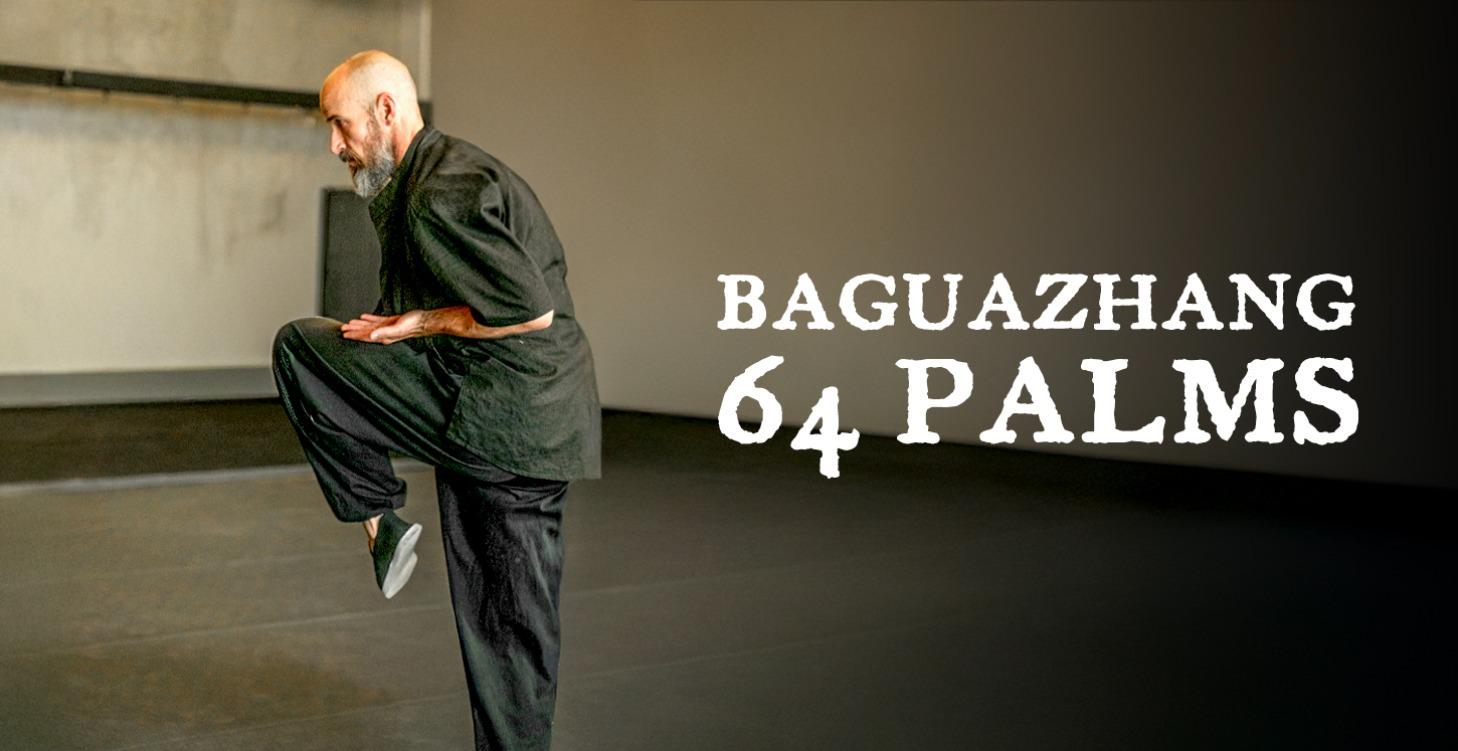 Bagua Zhang 64 Palms