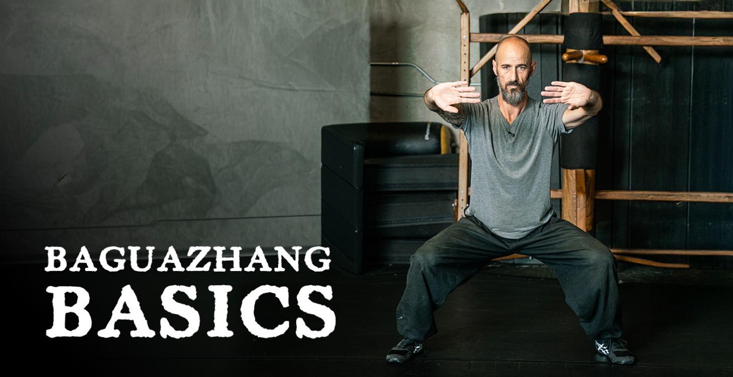 Bagua Zhang Basics