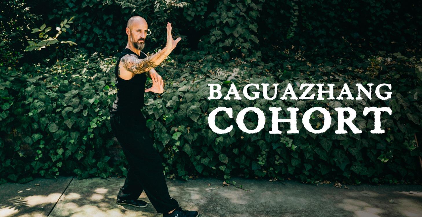 Bagua Zhang Training Cohort