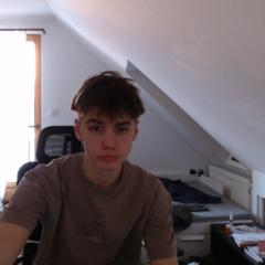 Máté T