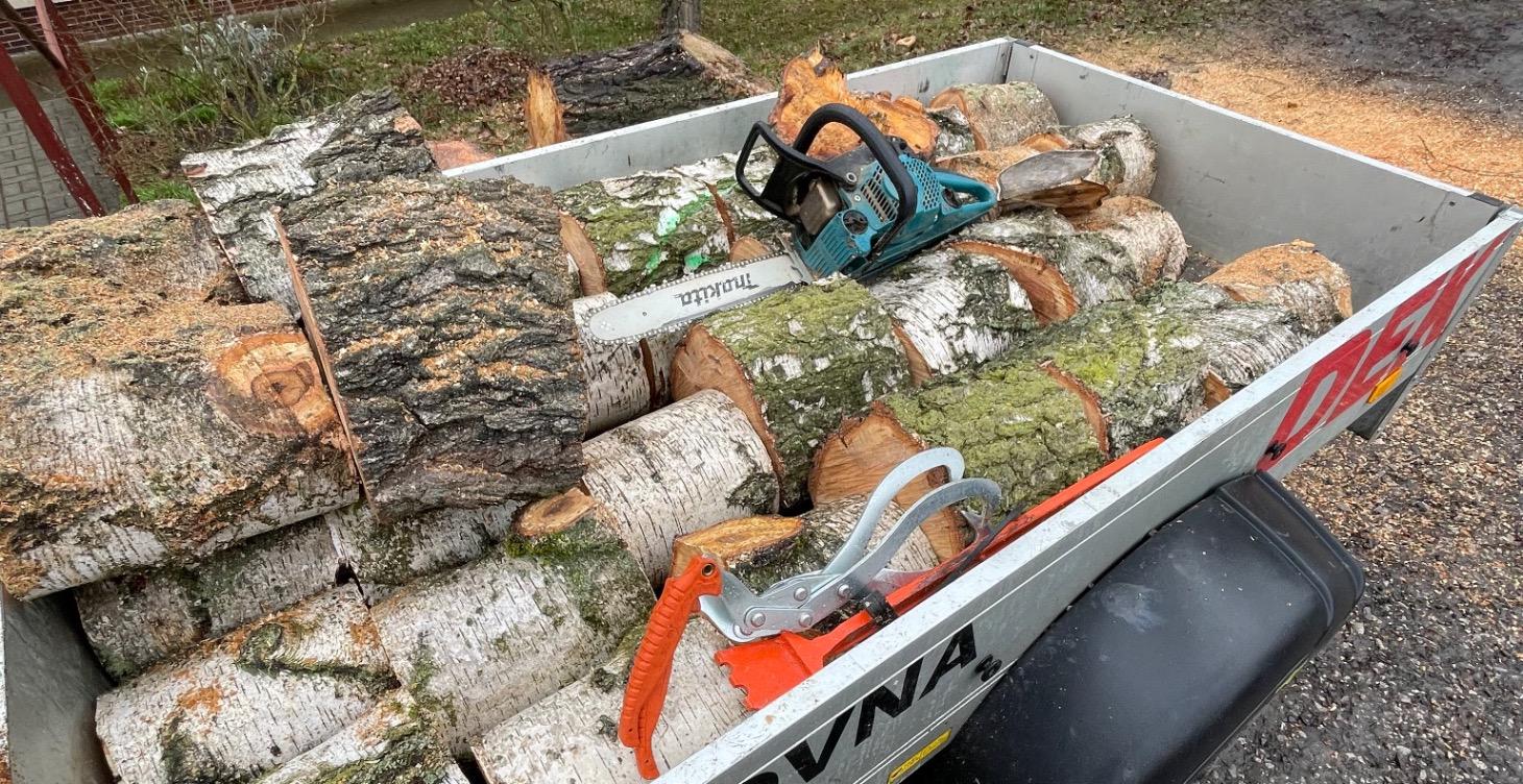 Bezpečná práce s motorovou PILOU