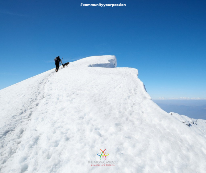 Wieviele Punkte fehlen noch bis zum nächsten Level?