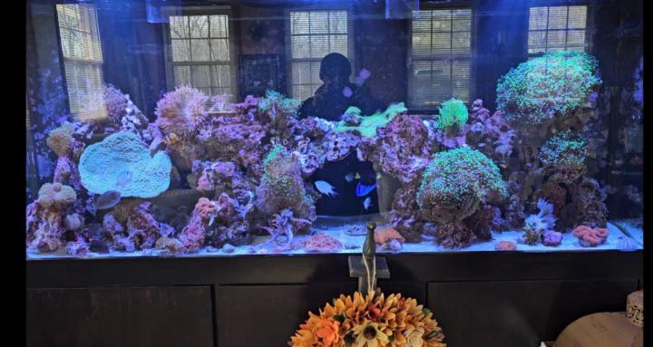 The Aquarium Hub