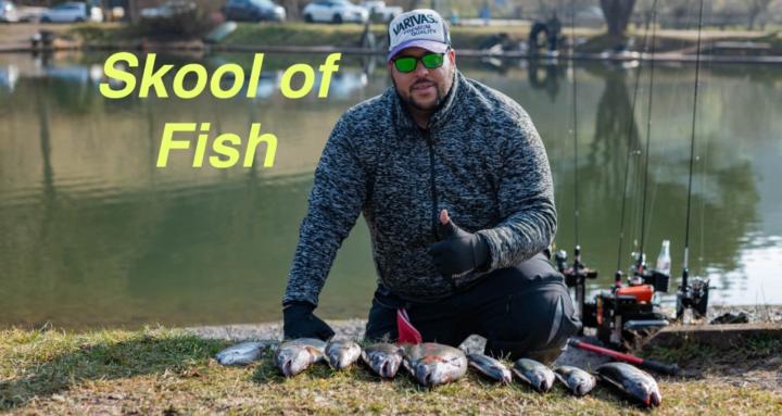 Skool of Fish