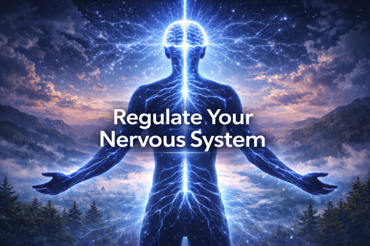 🧠⚡ Nervous System Regulation 