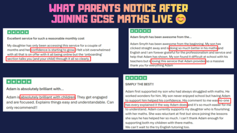 GCSE Maths LIVE gallery image