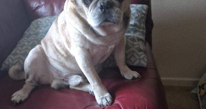 Helping hands ✋️ 🙌