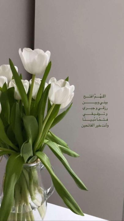 لطيفه شريه