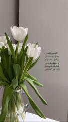 لطيفه شريه