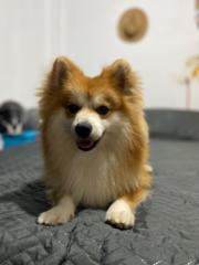 Claudia Vanessa Zuluaga Quintero