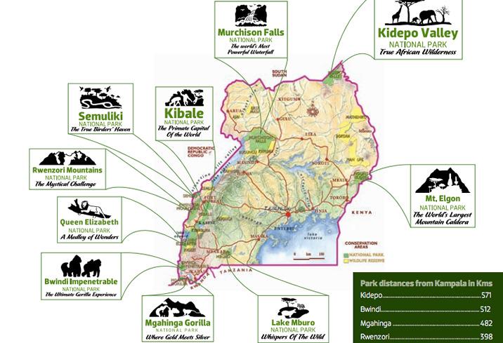 10 Reasons to visit Uganda with enrichment africa safaris.