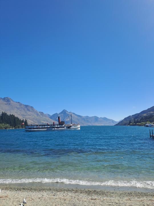 Arriving in New Zealand