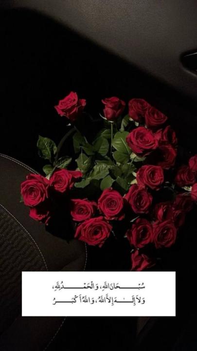 منال حسن غالب