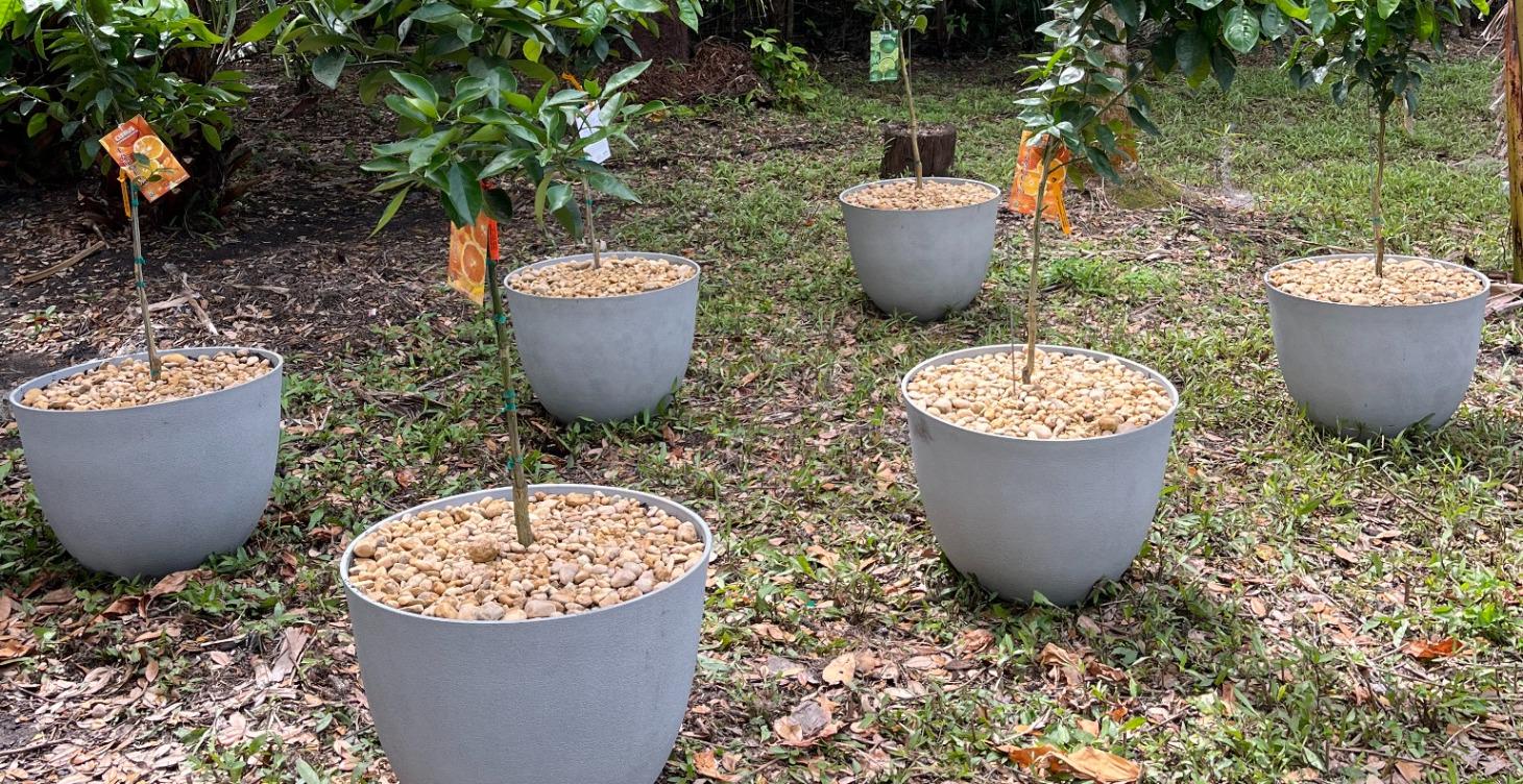 Module 2: What is Gardening, Really?