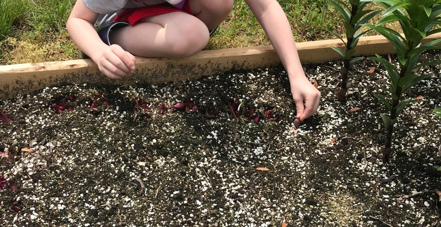 Module 4: The Foundation