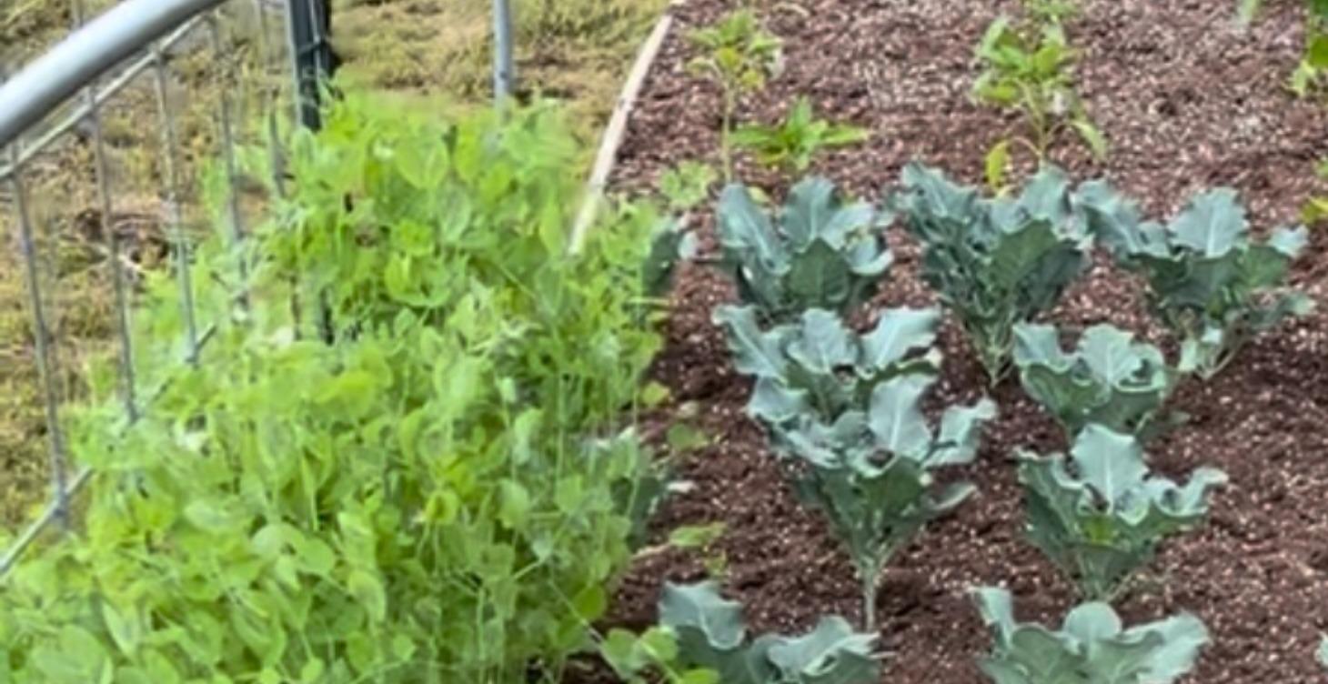 Module 20: The Logistics of the Vault