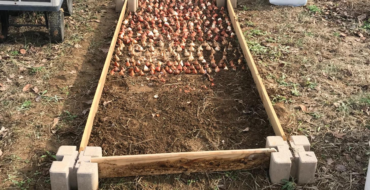 Module 12: Rising Above