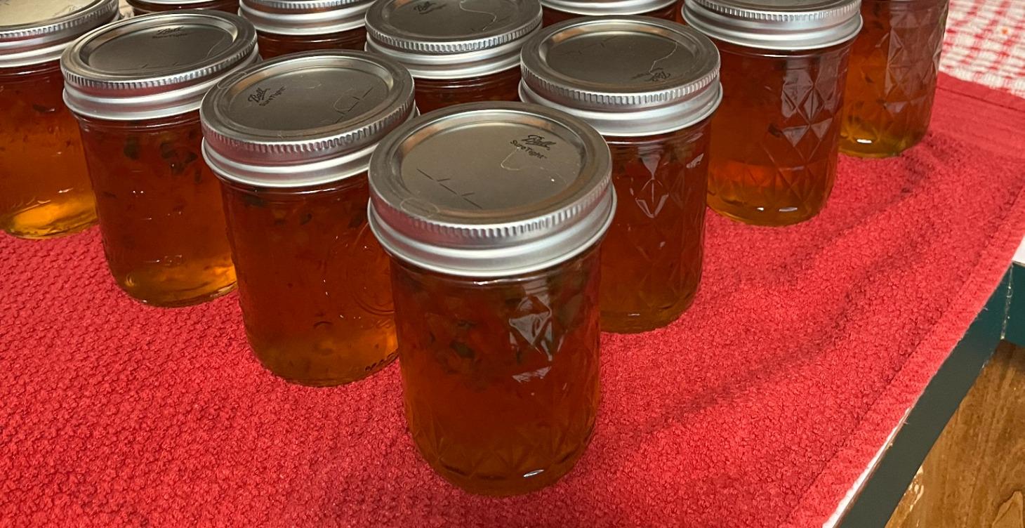 Module 26: The Reward