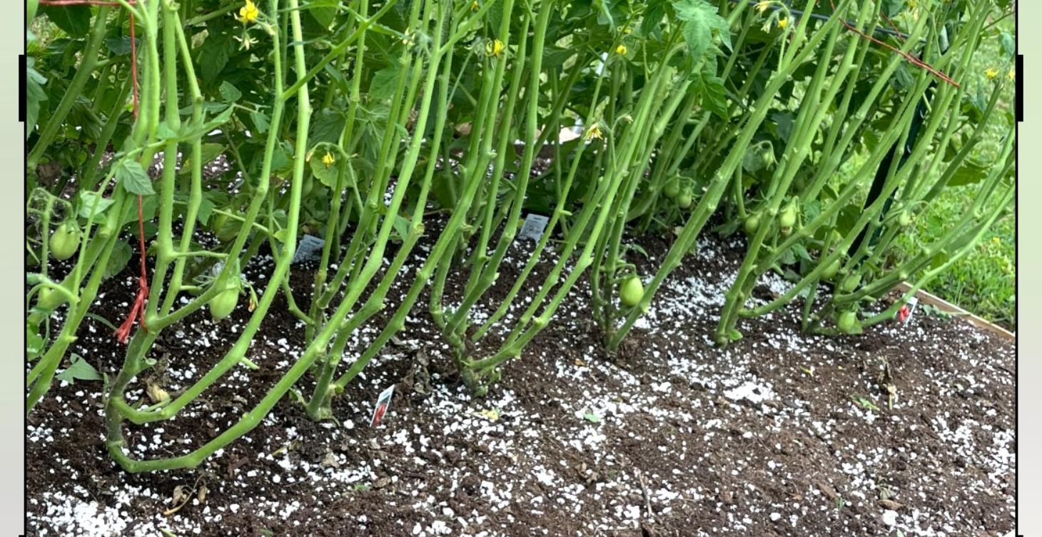 Module 22: The Physics of Airflow