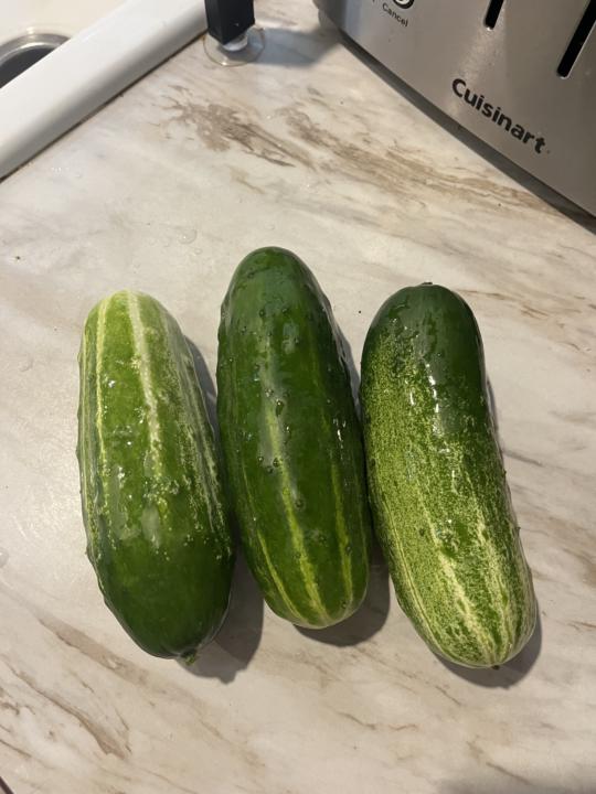 First harvest