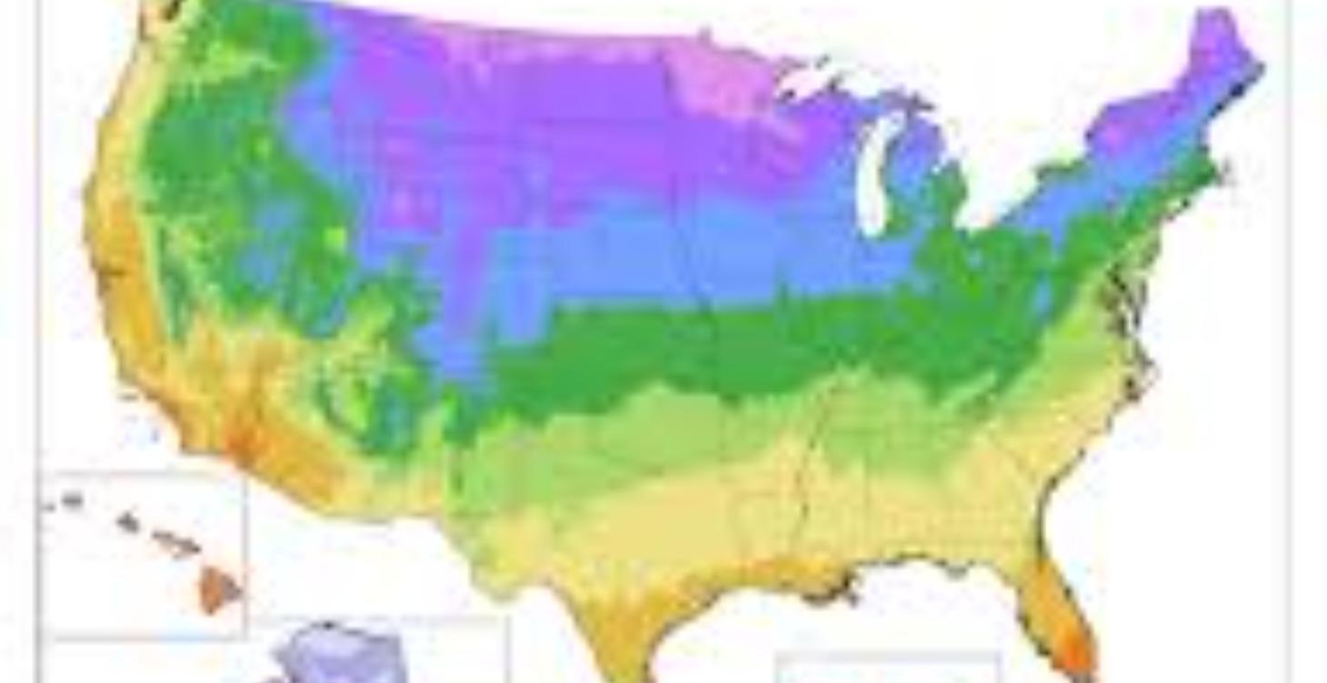Module 5: Knowing Your Place