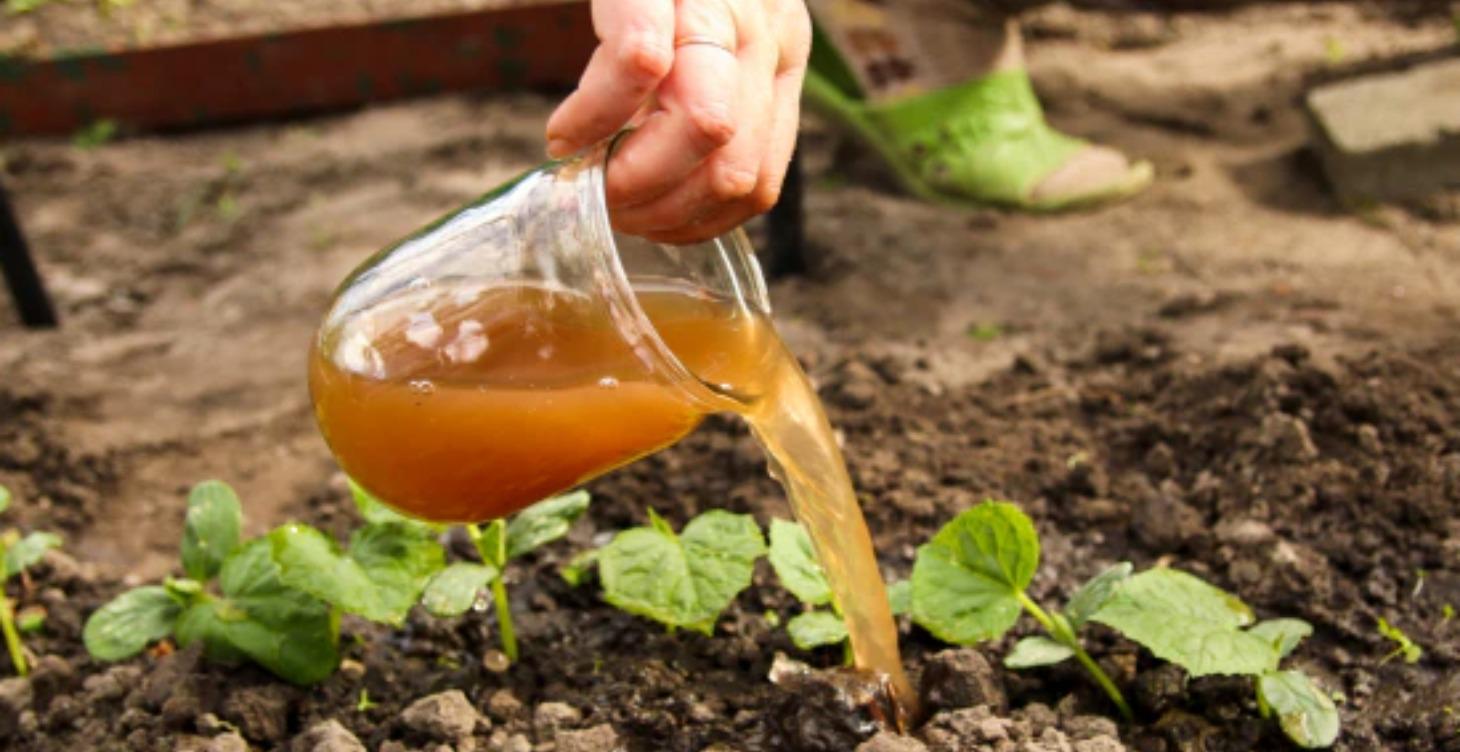 Module 18: The Turbocharger