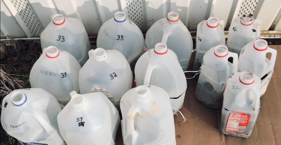 Module 11: Winter Sowing