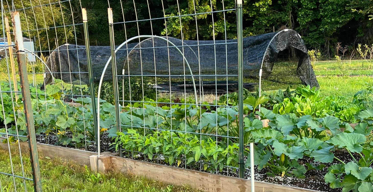 Module 19: The Support System