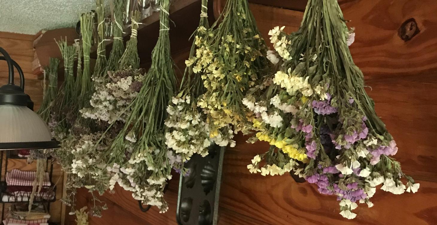 Module 25: The Harvest Protocol