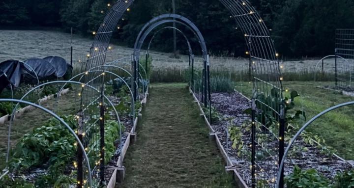 Gardening the easy way.