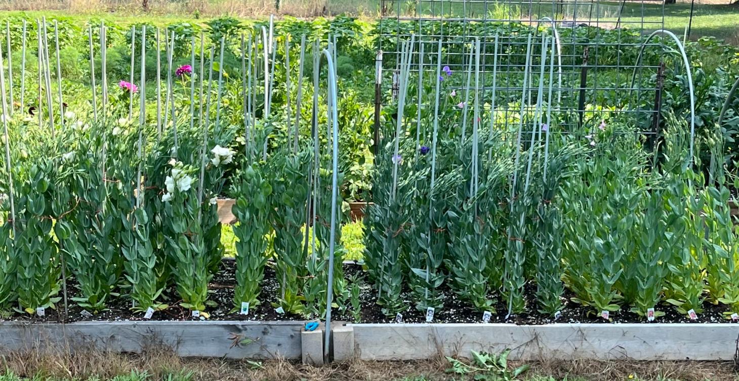 Module 13: Engine of Intensity